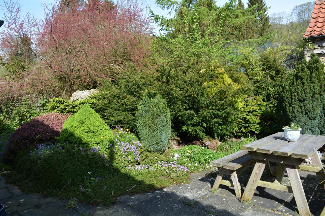 BohemianBreezeBreaks Bed and Breakfast Thornton Dale Buitenkant foto
