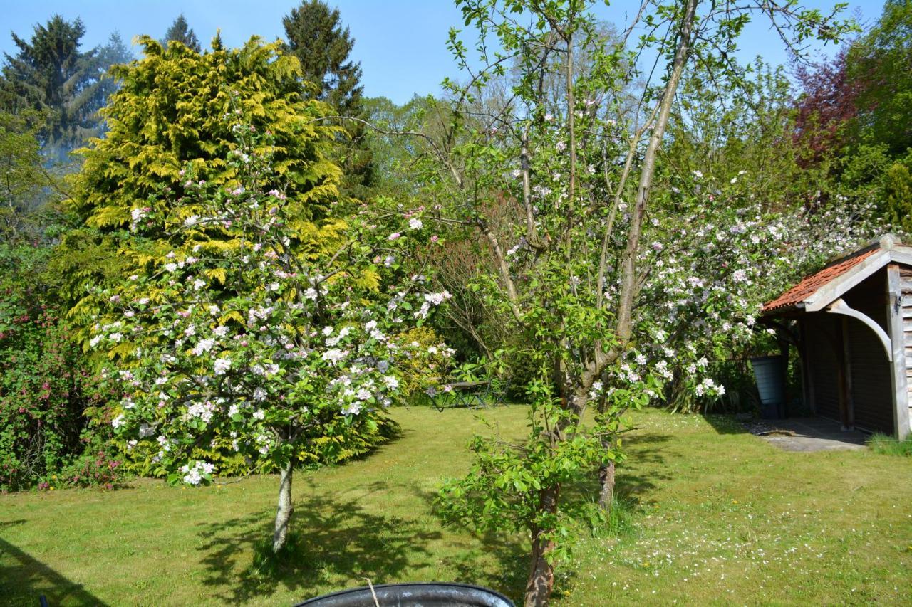 BohemianBreezeBreaks Bed and Breakfast Thornton Dale Buitenkant foto